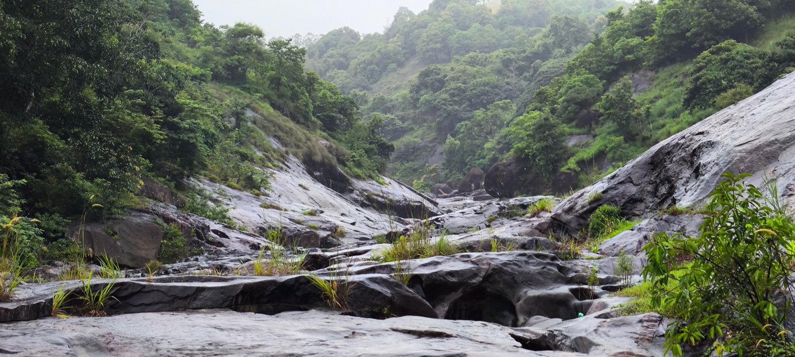 Green Idukki stream landscape